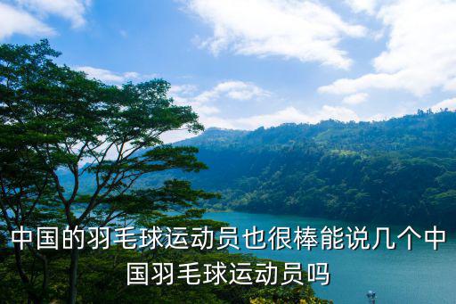 中國羽毛球運動員，中國羽毛球男單排名