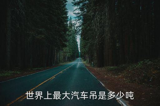 世界上最大汽車吊是多少噸