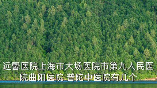 遠馨醫院上海市大場醫院市第九人民醫院曲陽醫院 普陀中醫院有幾個