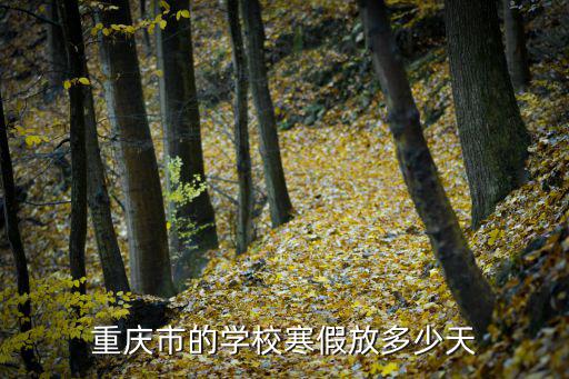 重慶市的學校寒假放多少天