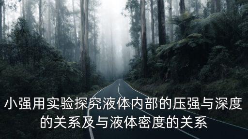 小強(qiáng)用實(shí)驗(yàn)探究液體內(nèi)部的壓強(qiáng)與深度的關(guān)系及與液體密度的關(guān)系