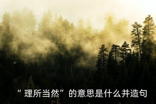 理所當然的意思,第一集:選擇信得過的人做代表就是理所當然