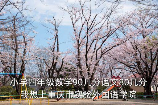 小學四年級數學90幾分語文80幾分我想上重慶市實驗外國語學院