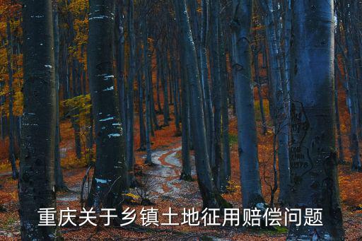 重慶關于鄉鎮土地征用賠償問題