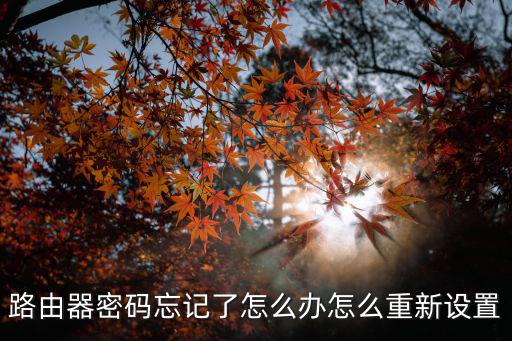 路由器密碼忘記了怎么辦怎么重新設(shè)置