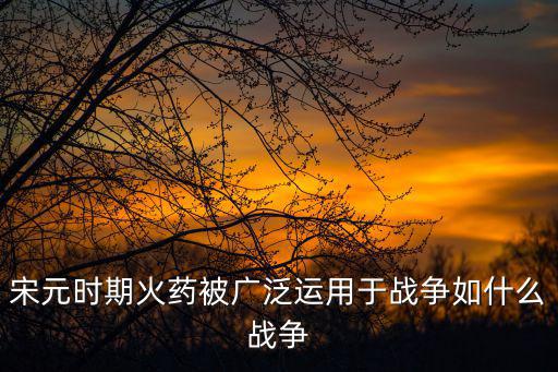 宋元時期火藥被廣泛運用于戰爭如什么戰爭