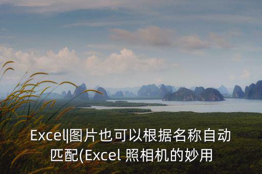 Excel|圖片也可以根據(jù)名稱自動匹配(Excel 照相機的妙用