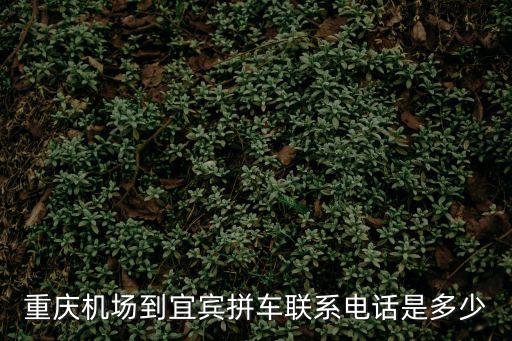 重慶機場到宜賓拼車聯(lián)系電話是多少