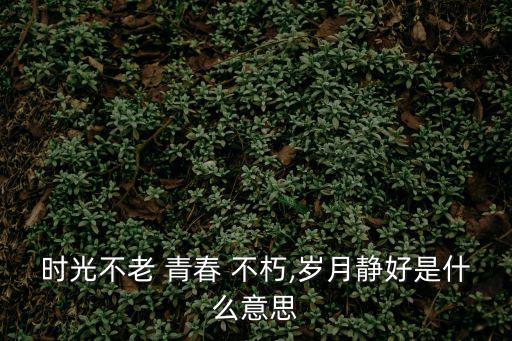 時光不老 青春 不朽,歲月靜好是什么意思
