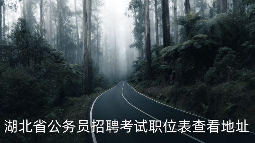 湖北省公務(wù)員招聘考試職位表查看地址