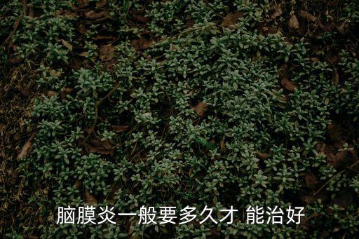腦膜炎能治好嗎,細(xì)菌性腦膜炎是一種危及生命的疾病應(yīng)立即治療