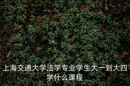 上海交通大學法學專業學生大一到大四學什么課程