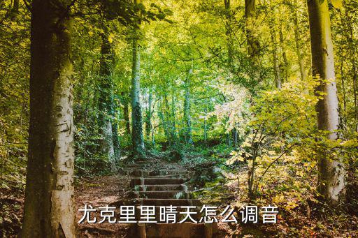 尤克里里晴天怎么調音