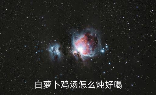 白蘿卜燉雞，白蘿卜燉雞湯的做法