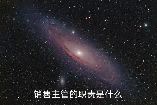 銷售主管的職責是什么