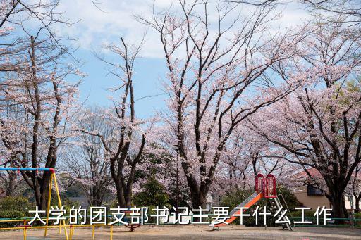 大學(xué)團(tuán)支書(shū)的職責(zé)，大學(xué)團(tuán)支部書(shū)記的職責(zé)是什么