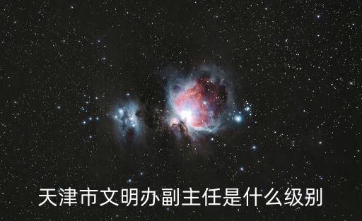 天津市文明辦副主任是什么級別