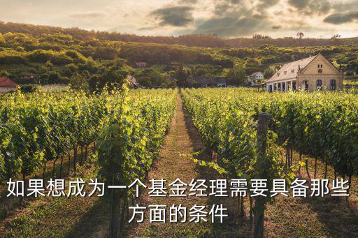 如果想成為一個基金經理需要具備那些方面的條件