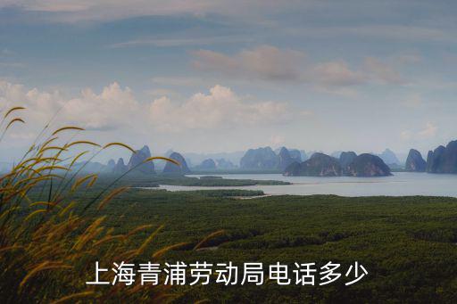 上海青浦勞動局電話多少