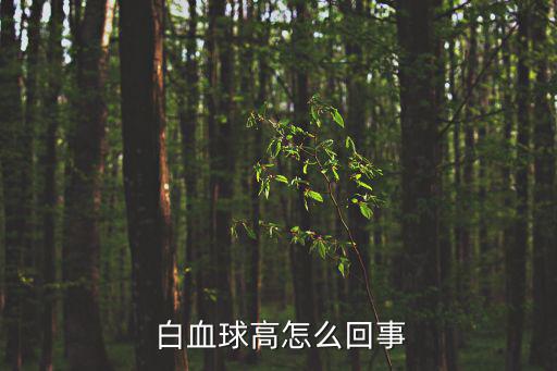 白血球高,白血球指數(shù)太高可能是感染病灶