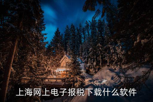 上海網上電子報稅下載什么軟件