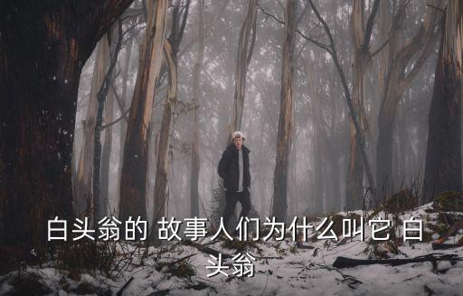  白頭翁的 故事人們為什么叫它 白頭翁