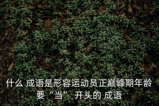 當字開頭的成語,關(guān)于這個成語你必須知道的東西