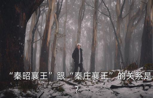 “秦昭襄王”跟“秦莊襄王”的關(guān)系是﹖