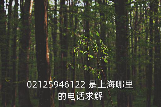 02125946122 是上海哪里的電話求解