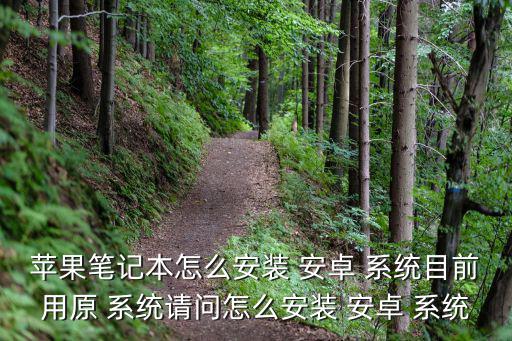 蘋果筆記本怎么安裝 安卓 系統目前用原 系統請問怎么安裝 安卓 系統
