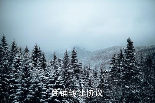 商鋪轉(zhuǎn)讓協(xié)議