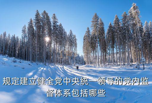 規定建立健全黨中央統一領導的黨內監督體系包括哪些