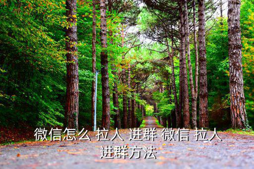 微信如何拉人進(jìn)群,微信群體如何踢人?看這里!