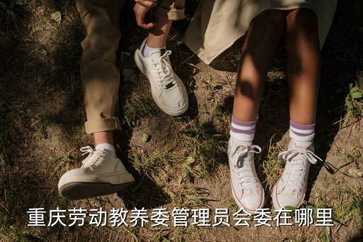 重慶勞動(dòng)教養(yǎng)委管理員會(huì)委在哪里