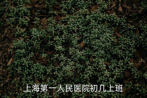 上海第一人民醫院初幾上班