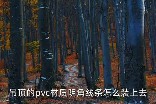 吊頂?shù)膒vc材質(zhì)陰角線條怎么裝上去
