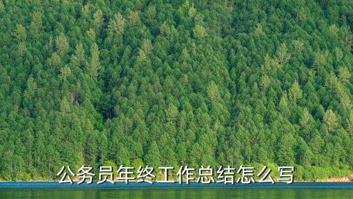 公務員年終工作總結怎么寫