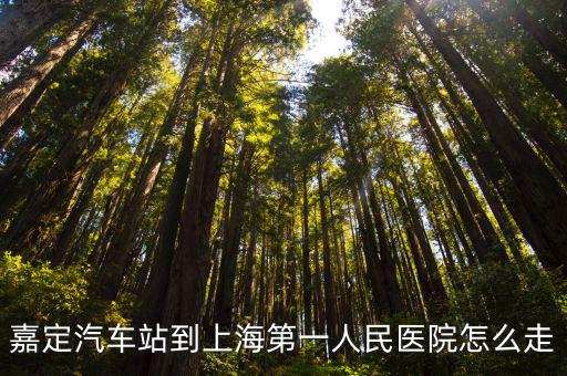 第一人民醫(yī)院嘉定分院，上海市第一人民醫(yī)院地址