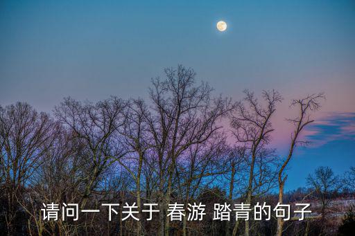 請問一下關于 春游 踏青的句子