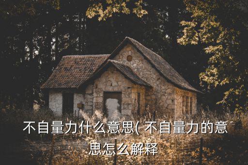 不自量力的意思,不自量力與不自知
