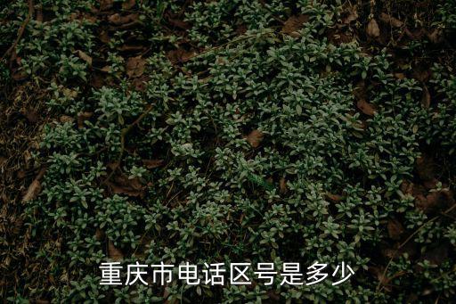 重慶市電話區號是多少