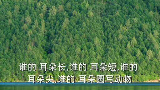 誰的 耳朵長,誰的 耳朵短,誰的 耳朵尖,誰的 耳朵圓寫動物