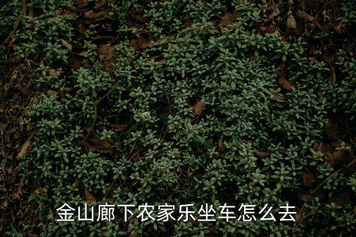 金山廊下農(nóng)家樂坐車怎么去