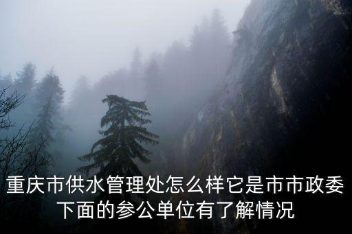 重慶市水政大隊，水政監察大隊是水務局的內部機構還是獨立機構呢其主要職能是什