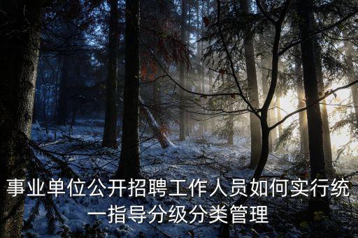 事業(yè)單位公開(kāi)招聘工作人員如何實(shí)行統(tǒng)一指導(dǎo)分級(jí)分類管理