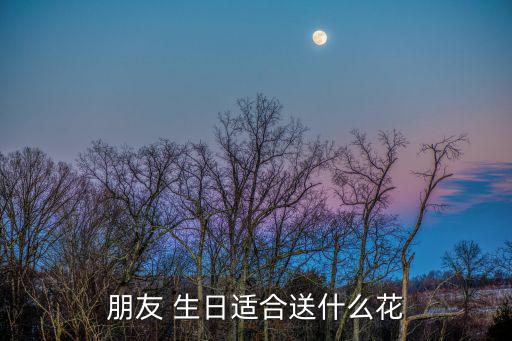 朋友 生日適合送什么花