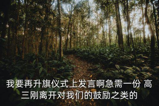 我要再升旗儀式上發(fā)言啊急需一份 高三剛離開對(duì)我們的鼓勵(lì)之類的