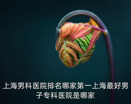 上海男科醫院排名哪家第一上海最好男子專科醫院是哪家