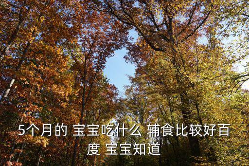 5個(gè)月的 寶寶吃什么 輔食比較好百度 寶寶知道