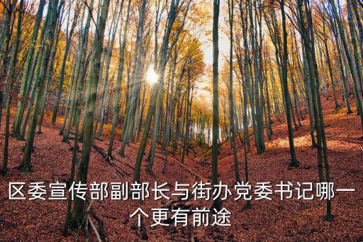 區(qū)宣傳部常務(wù)副部長(zhǎng)好么，區(qū)委宣傳部常務(wù)副部長(zhǎng)和區(qū)委宣傳部副部長(zhǎng)有何區(qū)別
